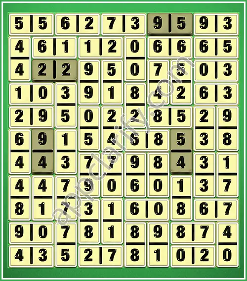 Dominosa King Of Pairs Level 5-111 Solution