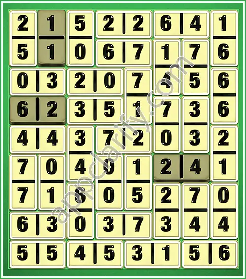 Dominosa King Of Pairs Level 5-24 Solution