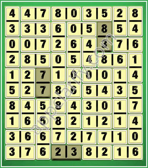 Dominosa King Of Pairs Level 5-46 Solution