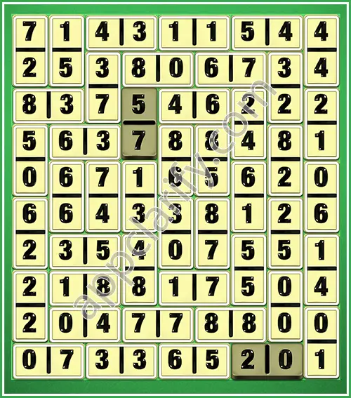 Dominosa King Of Pairs Level 5-59 Solution