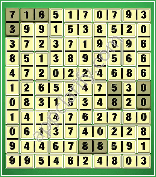 Dominosa King Of Pairs Level 5-92 Solution