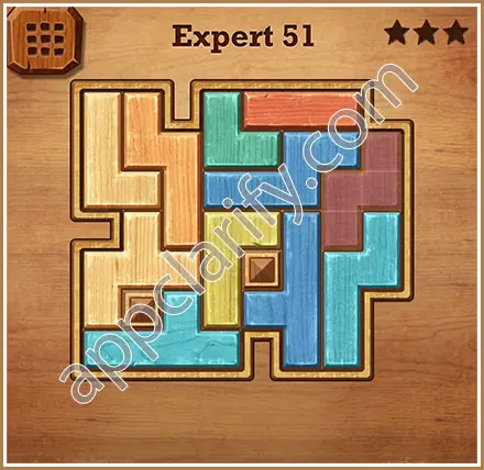 Wood Block Puzzle Expert Level 51 Solution
