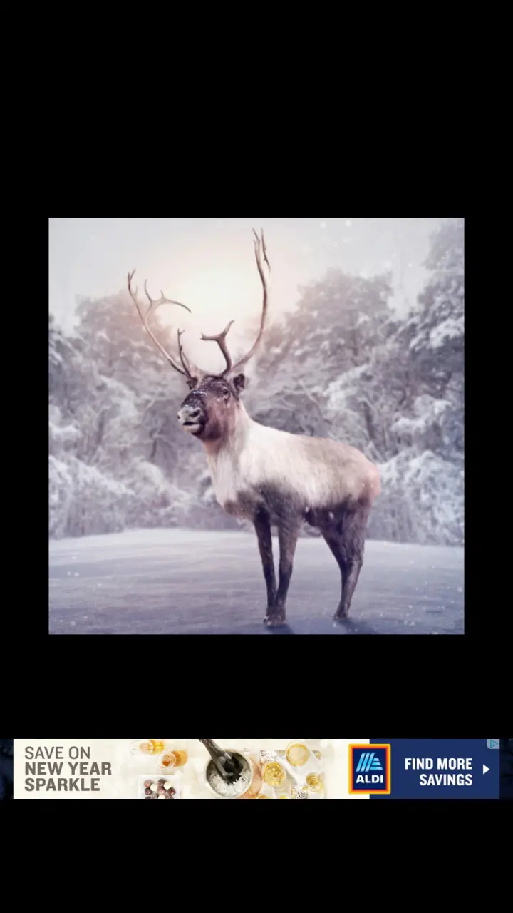 //appclarify.com/wp content/uploads/2017/12/Wordscapes Daily Challenge December 2017 badge 4 reindeer
