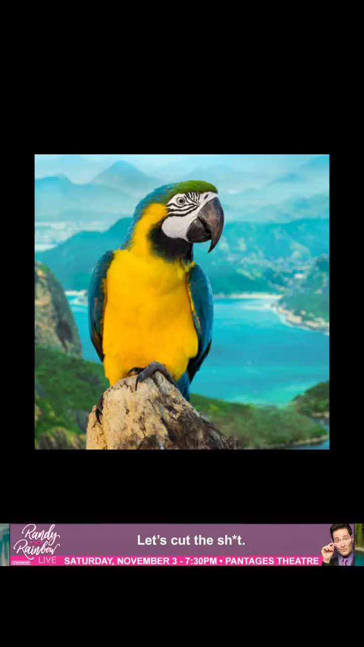 //appclarify.com/wp content/uploads/2018/06/Wordscapes Daily June 2018 badge 3 MACAW
