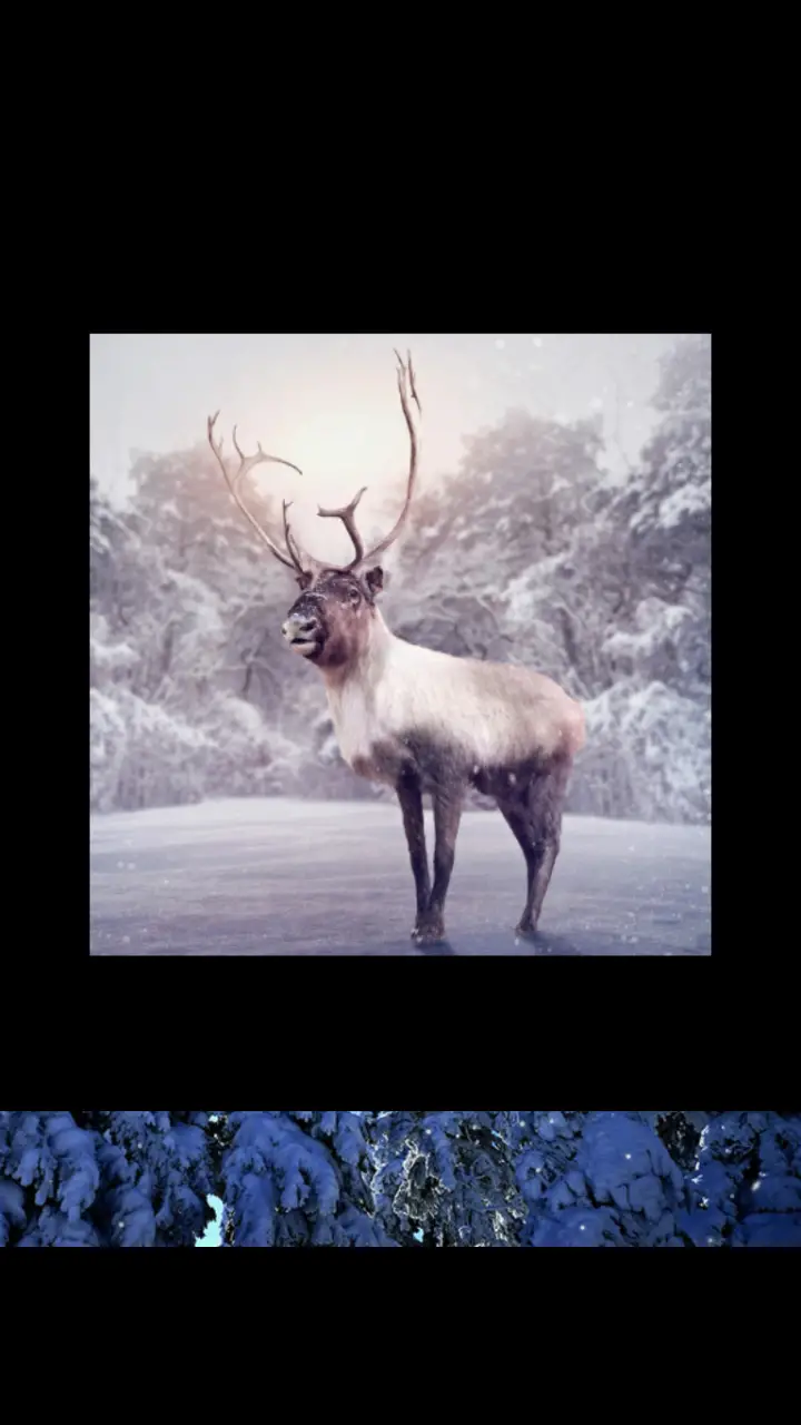 //appclarify.com/wp content/uploads/2018/12/Wordscapes Daily December 2018 badge 4 REINDEER