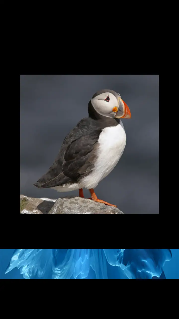 //appclarify.com/wp content/uploads/2019/01/Wordscapes Daily January 2019 badge 1 PUFFIN
